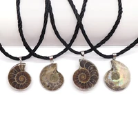 1pc polished ammonite fossil stone pendant seashell snail necklace beautiful natural stone jewellery gifts for men women