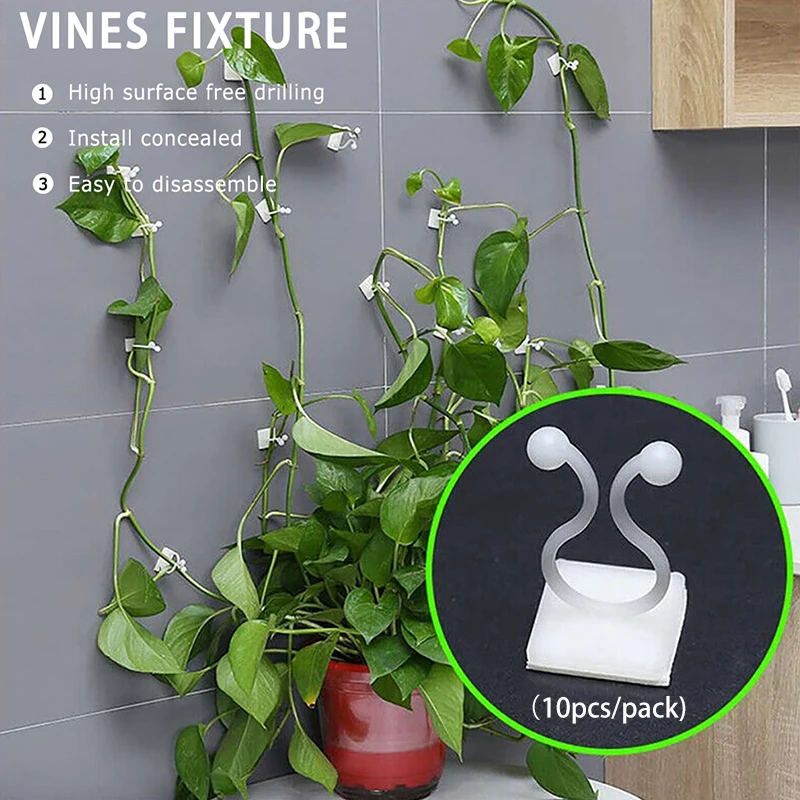 

10pcs Invisible Wall Rattan Clamp Clip Invisible Wall Vine Climbing Sticky Hook Rattan Fixed Clip Bracket Plant Stent Supports