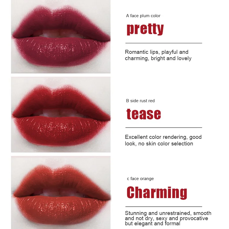 

3-in-1 3-color Lipstick Long-lasting No Fading Highly Pigmented Lip Makeup CIN6 899