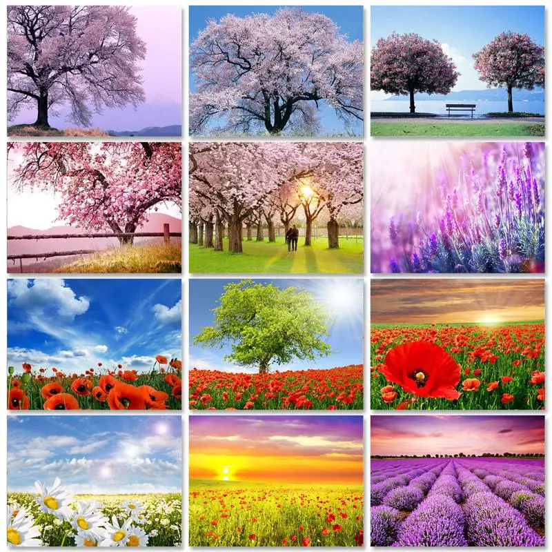 

PhotoCustom Paint By Numbers Flowers Scenery Oil Painting By Numbers On Canvas 40x50cm Frameless DIY Scenery Home Decor Gift