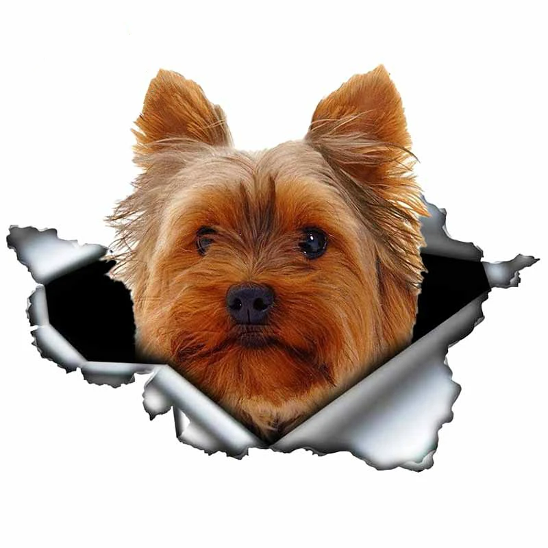 

Waterproof Car Sticker Laptop Yorkshire Terrier Lovely Pet Dog Truck Car Window PVC Motorcycle Auto Accessories 13cm X 12cm