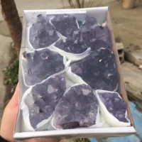 Natural Purple Quartz Crystal Clusters Rough Amethyst Mineral Specim