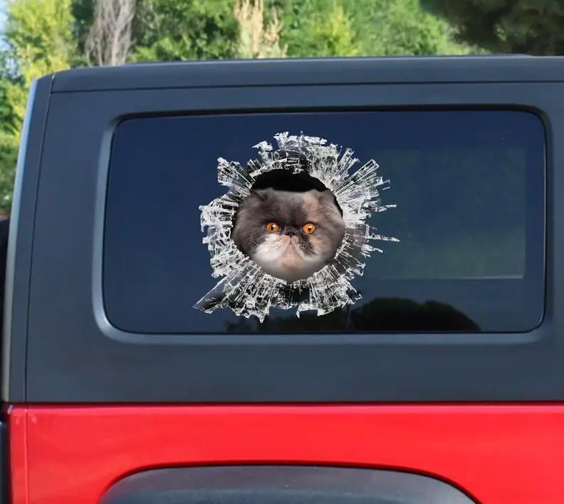 

Funny Cat , Persian cat window decal,