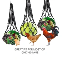 3pcs chicken veggies skewer fruit holder stainless steel hanging feeder toy for hens large birds treat feeding tool