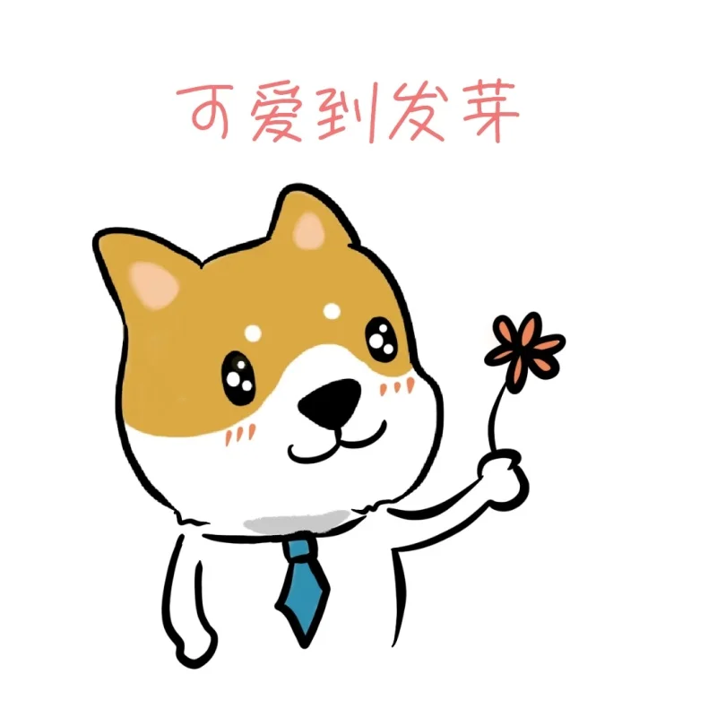 VIP покупатель платить по ссылке DHL FedEx UPS стоимость доставки будет