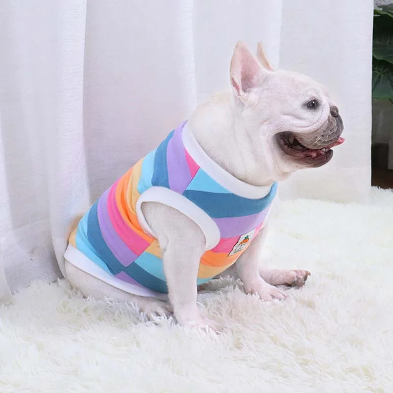 Бархатный жилет для французских боев на осень и зиму собак утолщенный зимний