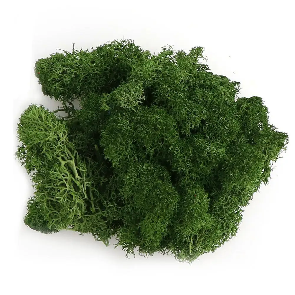

20g Immortal Moss Color Moss Artificial Plant Landscape Multicolor Home Grass Wedding Z6E9