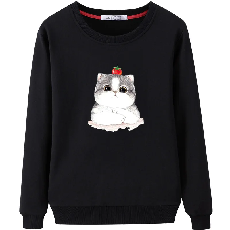 

All-match loose round neck sweater women's 2020 spring and autumn new cotton long-sleeved bottoming top white