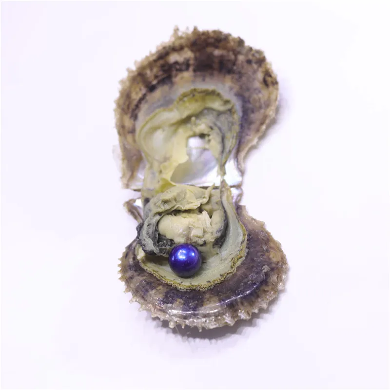 Edsion жемчуг akoya oysters класс AA 10 13 мм 21 Цвет Большой размер нуклеированный круглый в