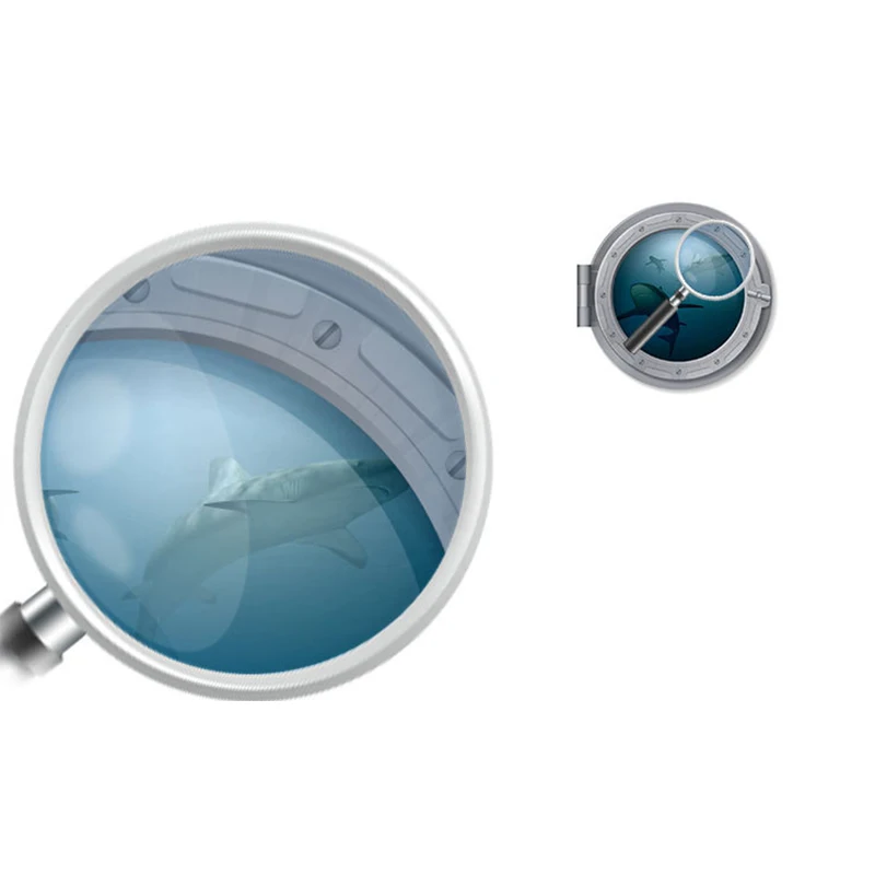 

Cute PVC Wall Sticker Living Room Wall Stickers Cute Sea Lion Sea Creatures Wall Sticker Multifunctional Decorative Supplies