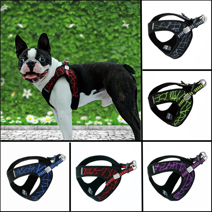 Ошейник для собак удобный без косточек поводок ошейник средних и мелких 25 | Дом