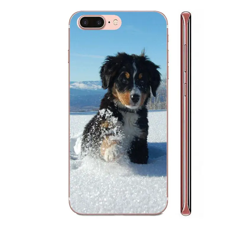 Soft TPU Stylish Case Bernese Mountain Dog For Apple iPhone 4 4S 5 5C 5S SE SE2 6 6S 7 8 11 Plus Pro X XS Max XR | Мобильные