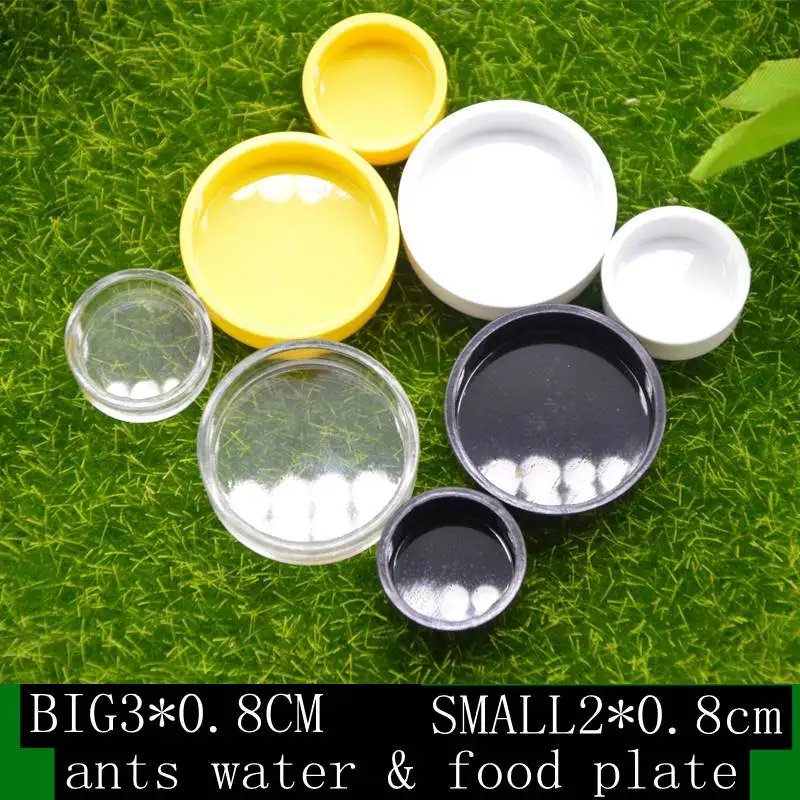 Подача муравьиной воды и еды|Принадлежности для кормления поения| |