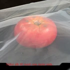 Сетка 1 м * 1 м 80дюйм 180 микрон сетка для газовой воды нейлоновый фильтр сетка для соевых бобов Краска Сетка для кофе вина ткань промышленная Фильтрующая Ткань