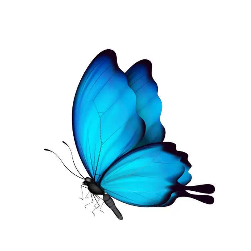 

RuleMyLife 10CM*10M Cute Decorative Butterfly Decal PVC Motorcycle Car Sticker 11-00652