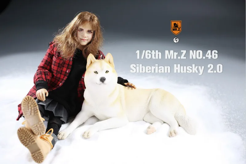 Mr.Z 1/6 сибирская Хаски 2 0 модель собаки украшение в виде животного настольные