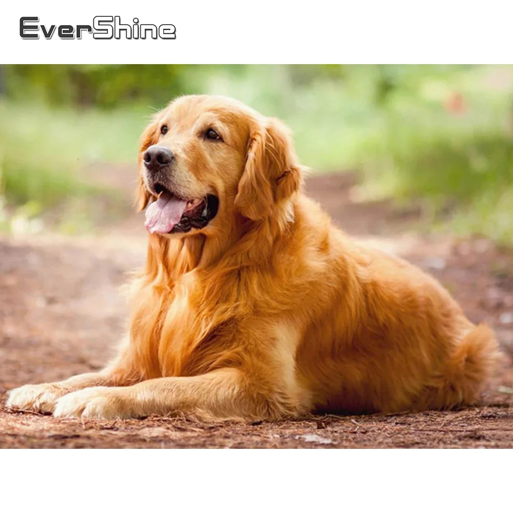 Алмазная вышивка Evershine 5D алмазные мозаичные животные картина с полным