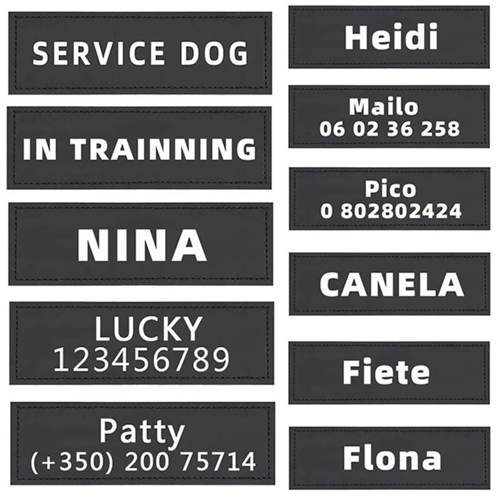 2 шт. персонализированные идентификационные Жетоны для кошек и собак из