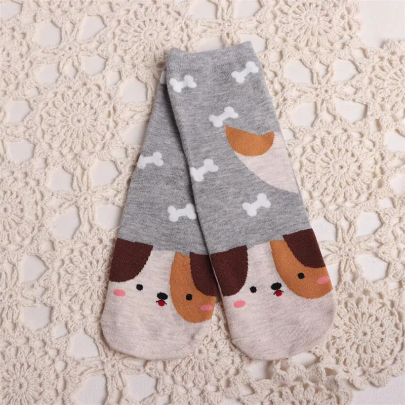 

2020 socks spring and autumn ladies cartoon animal jacquard cotton tube socks cute dog cat socks