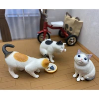cat lunch time gashapon toys 6 type creative action figure model desktop ornament toys children gifts