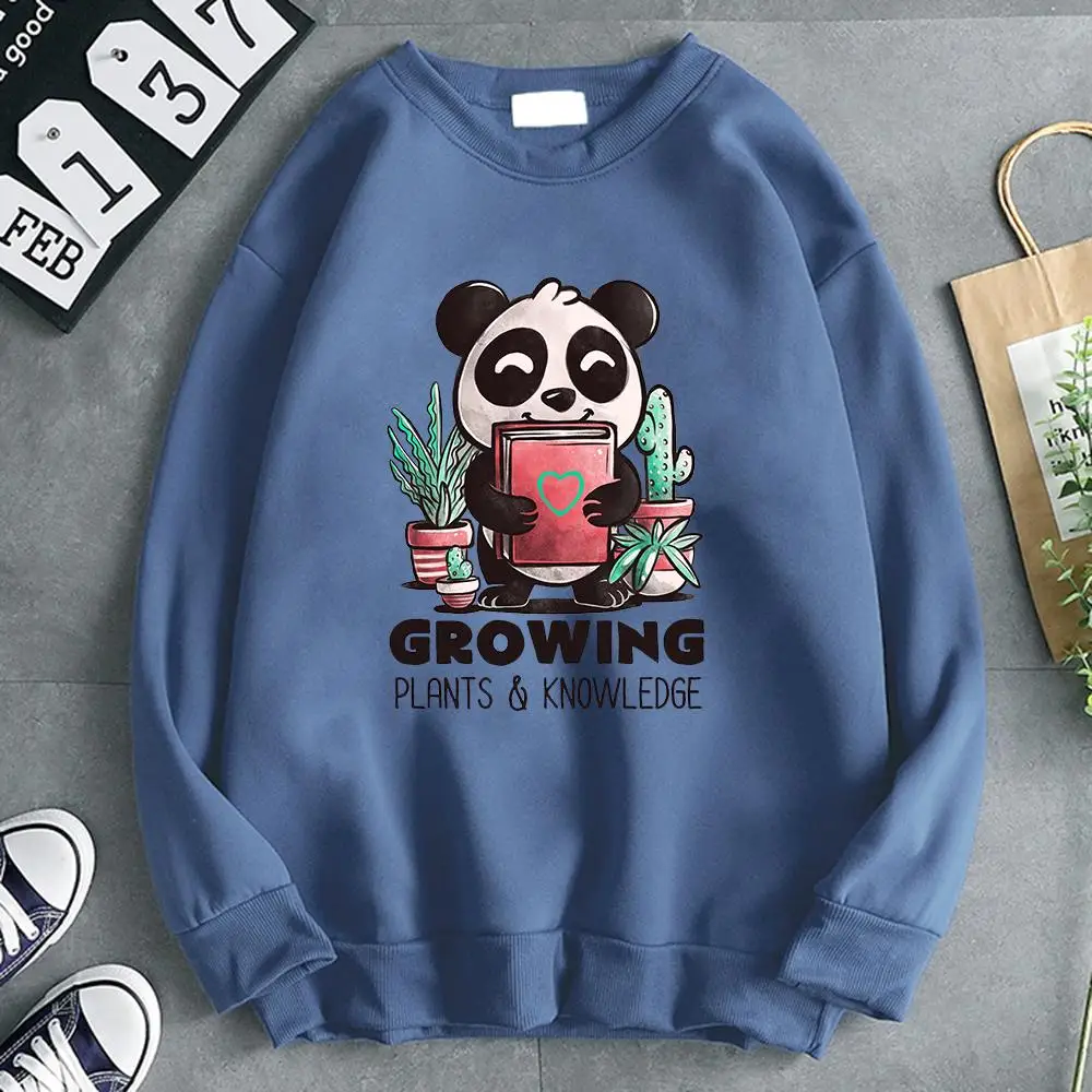 

Hoodies Growing Panda Kawaii Cute Letters Hoodie For Man Fashion Harajuku Men's Sweatshirt Long Sleeve Korean Brand Mens Hoody