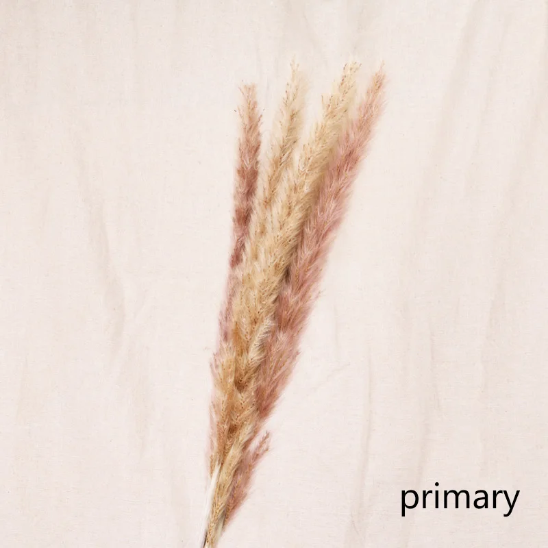primary 7 шт. Bulrush Натуральные Сушеные маленькие пампасы травы Phragmites растения искусственные, свадебные цветы букет домашний Рождественский Декор искусственный цветок - Цвет: primary