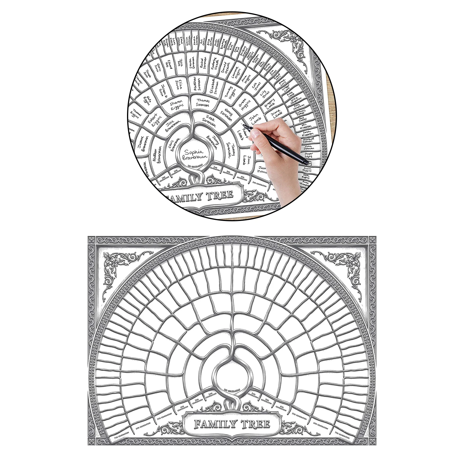 Большая Персонализированная диаграмма семейного дерева Заполняемая форма