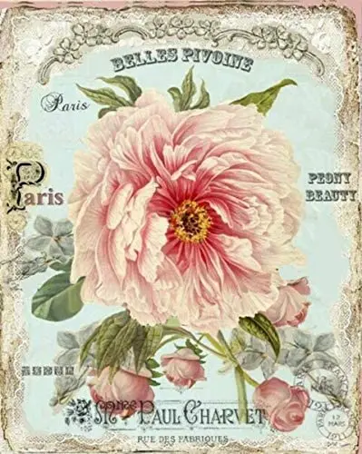 Французский цветочный постер винтажная живопись жестяной знак для улицы гаража
