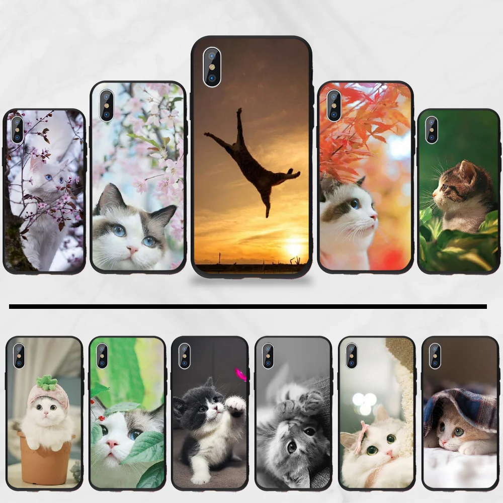 Мягкий милый Блестящий силиконовый чехол для iphone 5 5s 5c se 6 6s 7 8 plus x xs xr 11 pro