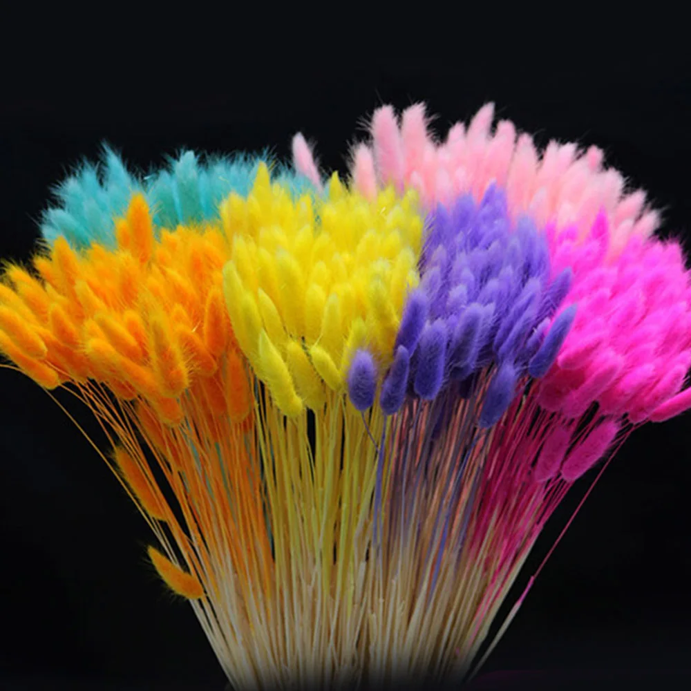 

60/120PCS Colorful Natural Rabbit Tail Grass Dried Flowers DIY Lagurus Ovatus Home Wedding Garden Decoration Dry Flowers Bouquet