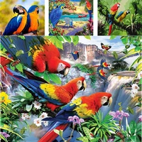 tapb adult coloring by numbers animal diy oil painting by numbers parrot on canvas picture for living room home decoration