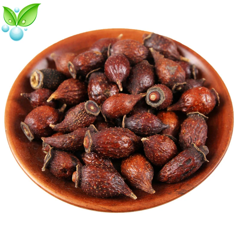 

Jin Ying Zi,Cherokee Rose,Rosae Laevigatae Fructus,Cherokee Rose Fruit,Fructus Rosae Laevigatae,Solid Essence Shrinks The Urine