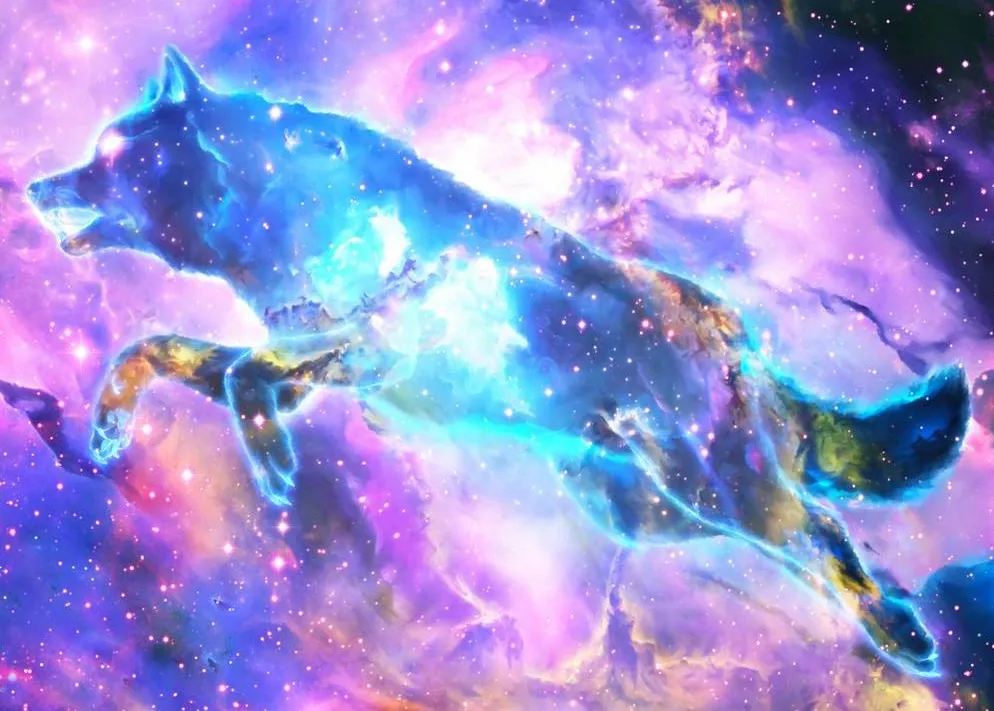 

Jmine Div 5D галактика собака звезда полная Алмазная картина крестиком наборы искусство Высокое качество животное 3D краска бриллиантами