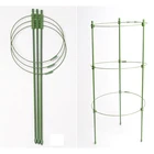 Коррозионно-стойкая подставка для растений, кольцо для поддержки вертикальных фотофруктов, 45 см, садовые Томаты, решетки для овощей