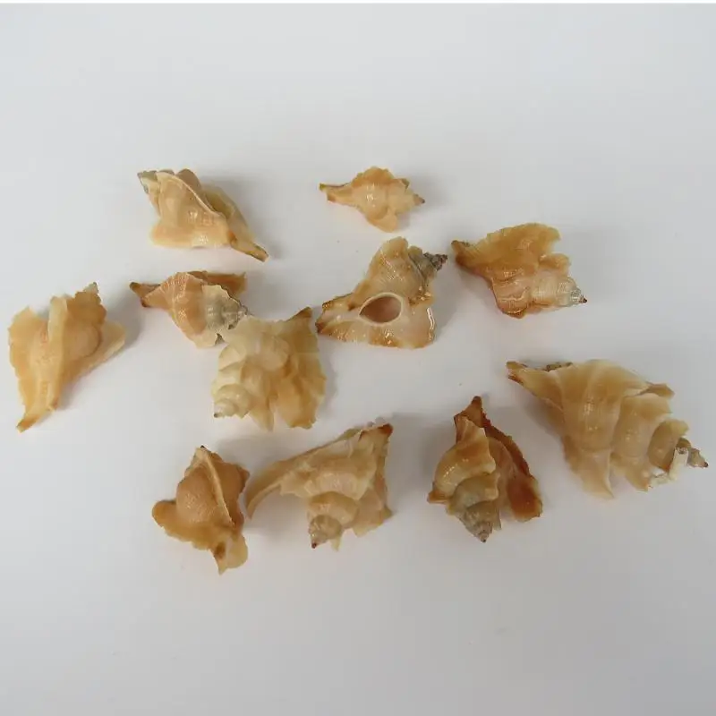 1 шт. Краб сменный корпус украшения рыбы в аквариуме пейзаж синтез натуральных