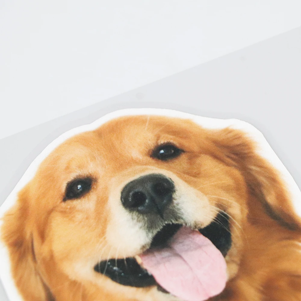 

YJZT 1610.9CM Peeping Golden Retriever Funny Window Bumper Decoration Car Sticker Accessories 21A-0289