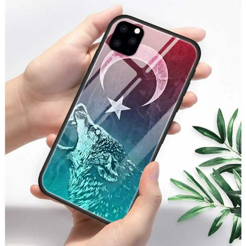 T01 Турция турецкий чехол с флагом для Apple iphone 11 Pro XR XS Max X 7 8 6 6S Plus закаленное стекло+ черный силиконовый чехол для телефона Coque Sac - Цвет: T01
