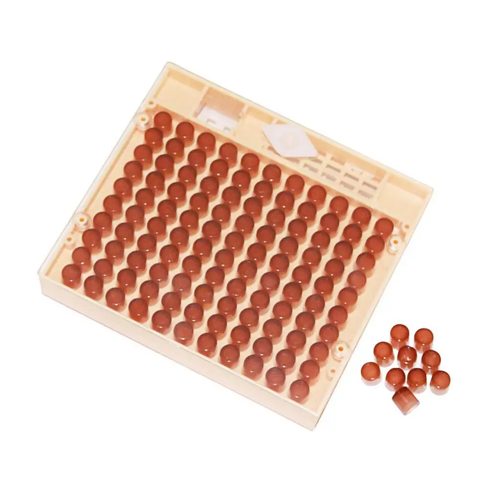 Набор пластиковых коробок для пчеловодства коробка пчеловодства|Инструменты