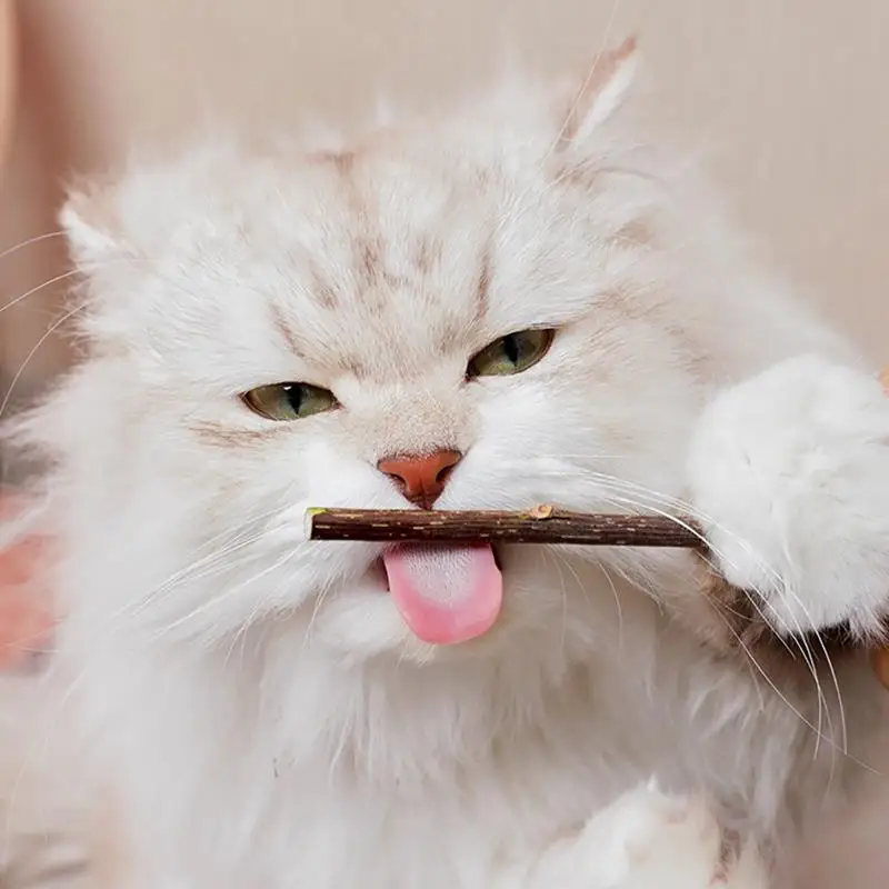 

Natural Catnip Stick Kitten Cleaning Teeth Molar Toothpaste Stick Silvervine Actinidia Fruit Cat Snacks Sticks Pet Cat Chew Toys