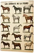 

Tin Sign Decor Plaques 30 x 40 cm Horses Horse Breeds