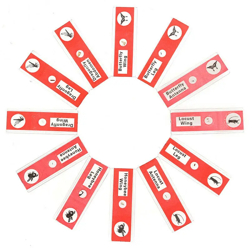 

Предметные стекла для микроскопа, набор образцов