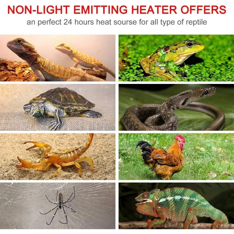 Керамический инфракрасный обогреватель для выводка, домашних животных, светильник для птичей клетки, лампа для рептилий, обогреватель для куриц, ящериц, черепах, аквариумов, змей, безопасный свет.