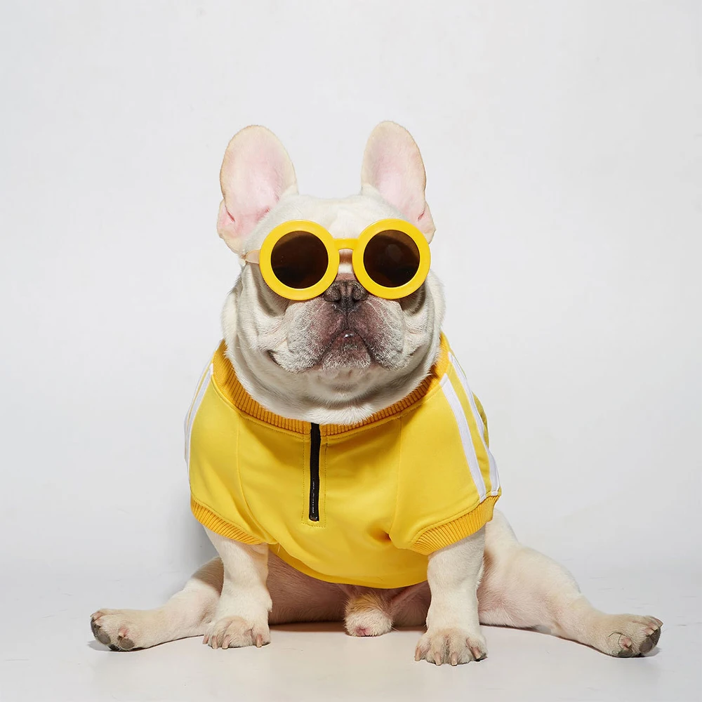 

Осенняя одежда для собак, одежда для маленьких собак, Спортивная Толстовка для французского бульдога, йоркширская куртка, аксессуары для со...