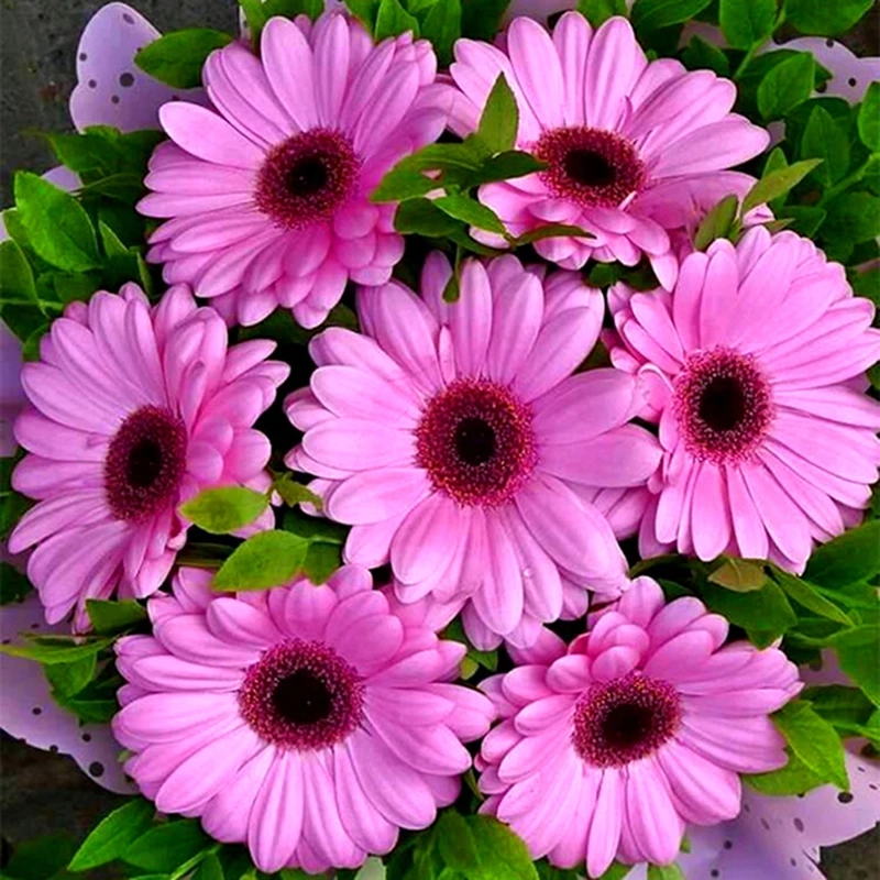 5d Diy Алмазная картина полностью квадратные Цветы Букет Ever Moment Рождественская