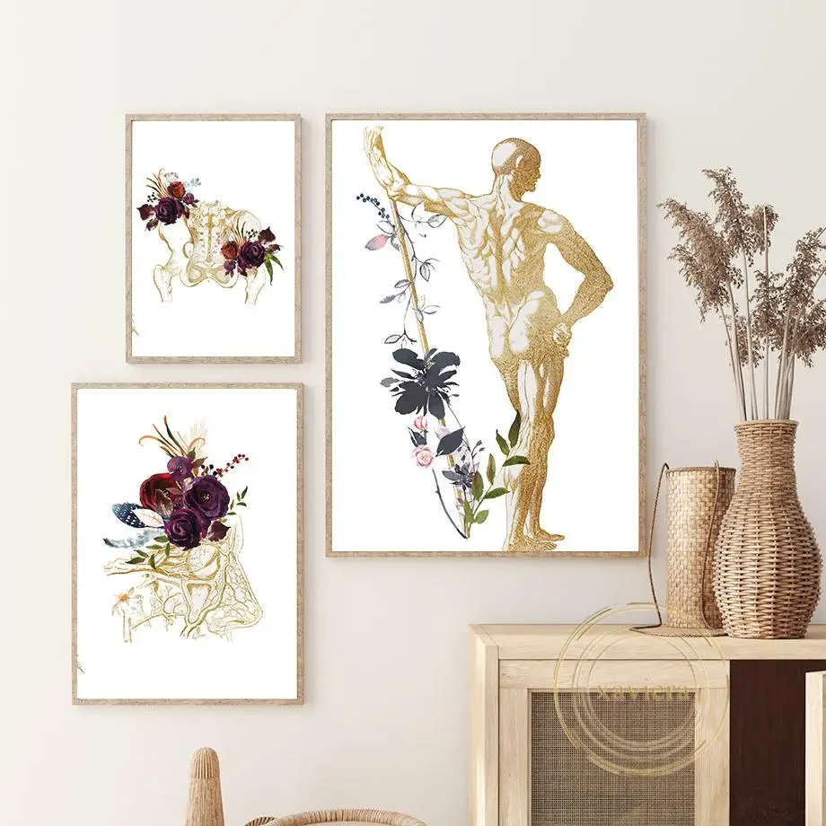 Плакат на холсте с изображением мышечной ткани черепа бедер костей анатомии