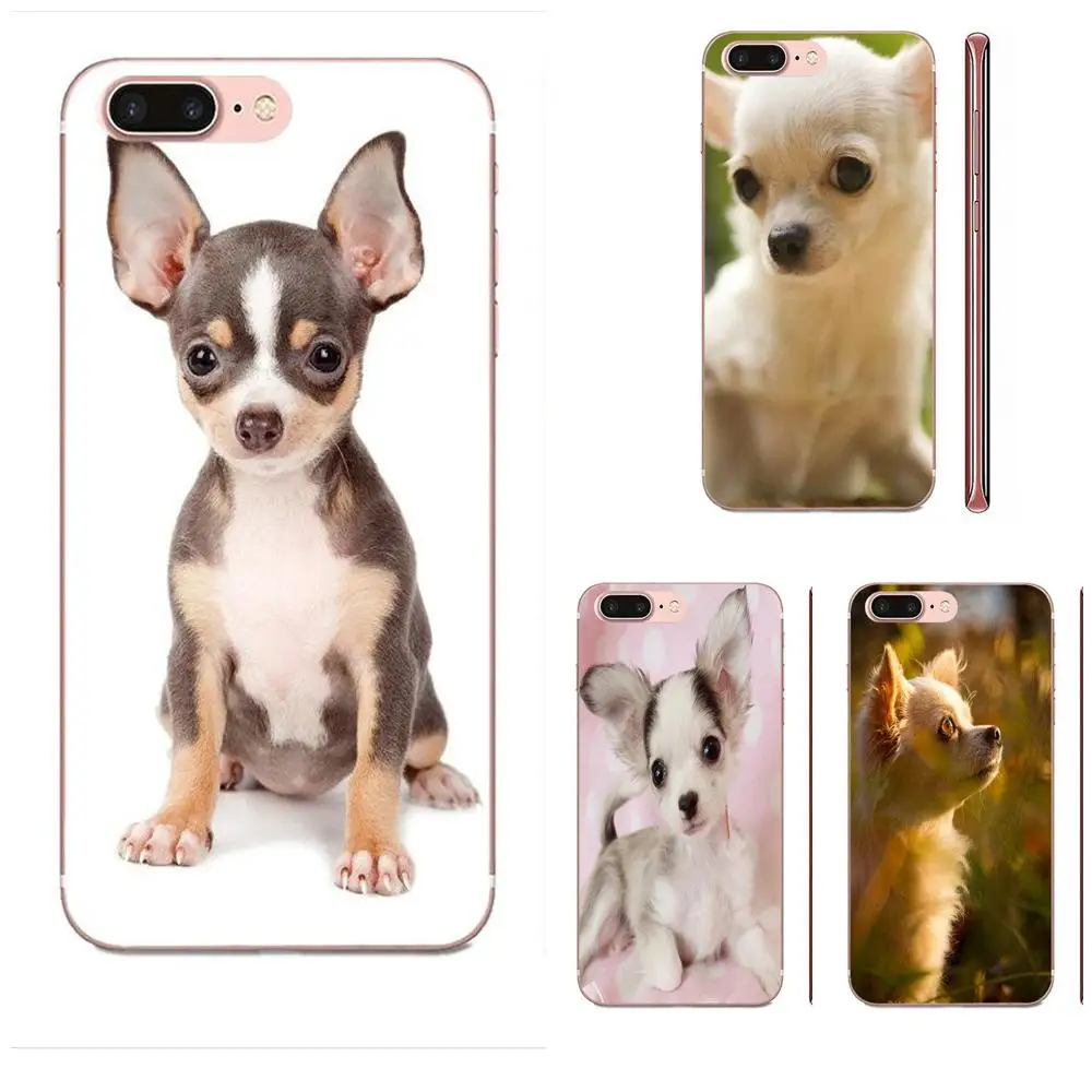 Гибридный чехол для Apple iPhone 11 Pro X XS Max XR 4 4S 5 5C 5S SE SE2 6 6S 7 8 Plus забавный щенок чихуахуа |
