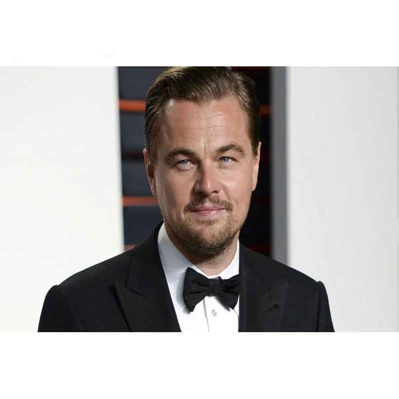 Настенный холщовый постер на заказ Леонардо ДиКаприо картина 27x40 см для