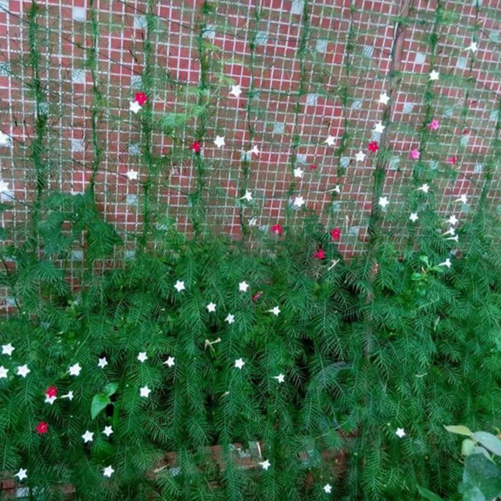 1pcs Durable Nylon Trellis Net Garden Netting Plant Support for Climbing Plants Fruit Vegetable decorartion | Дом и сад