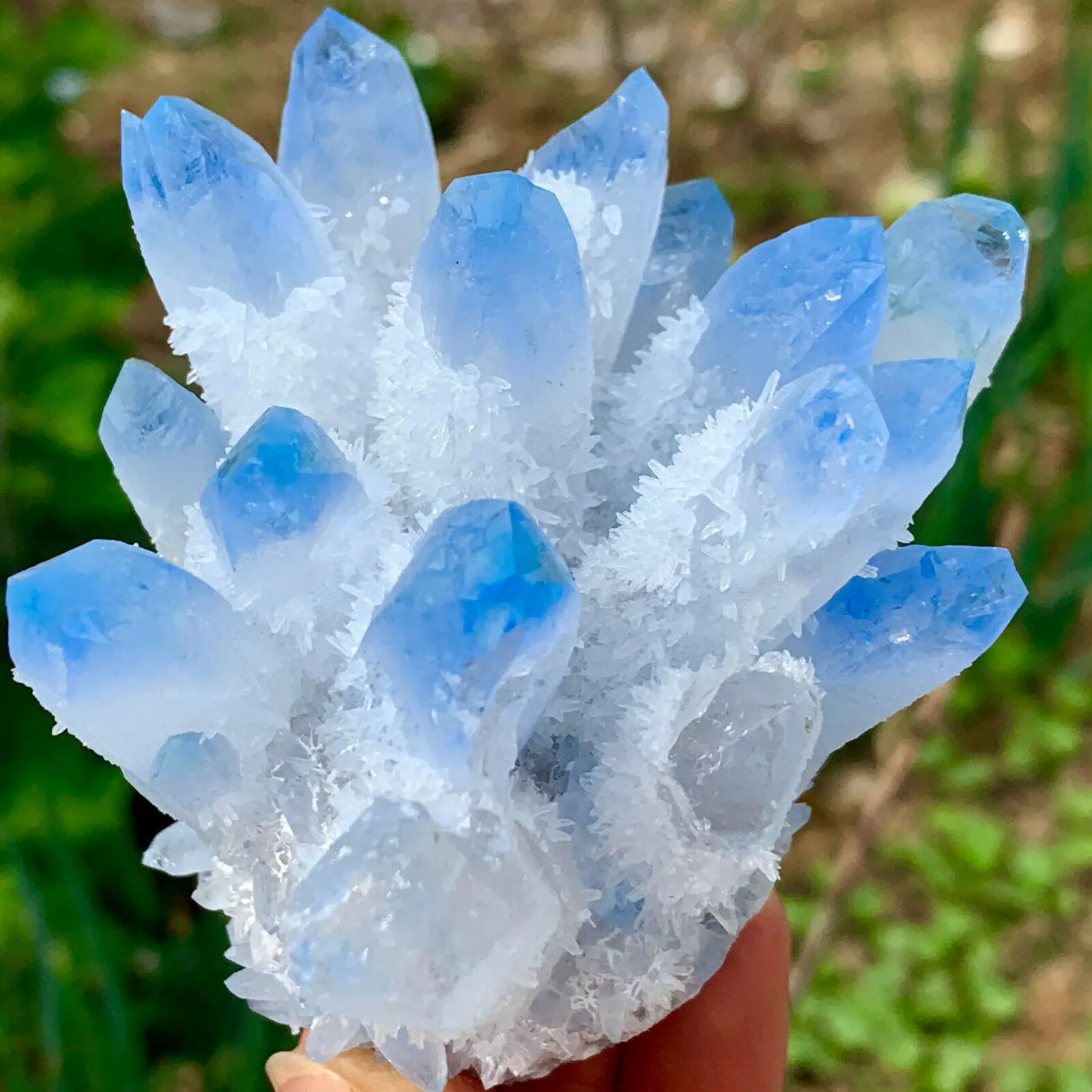 Brand-new find sky blue Phantom quartz crystal cluster ore sample cured