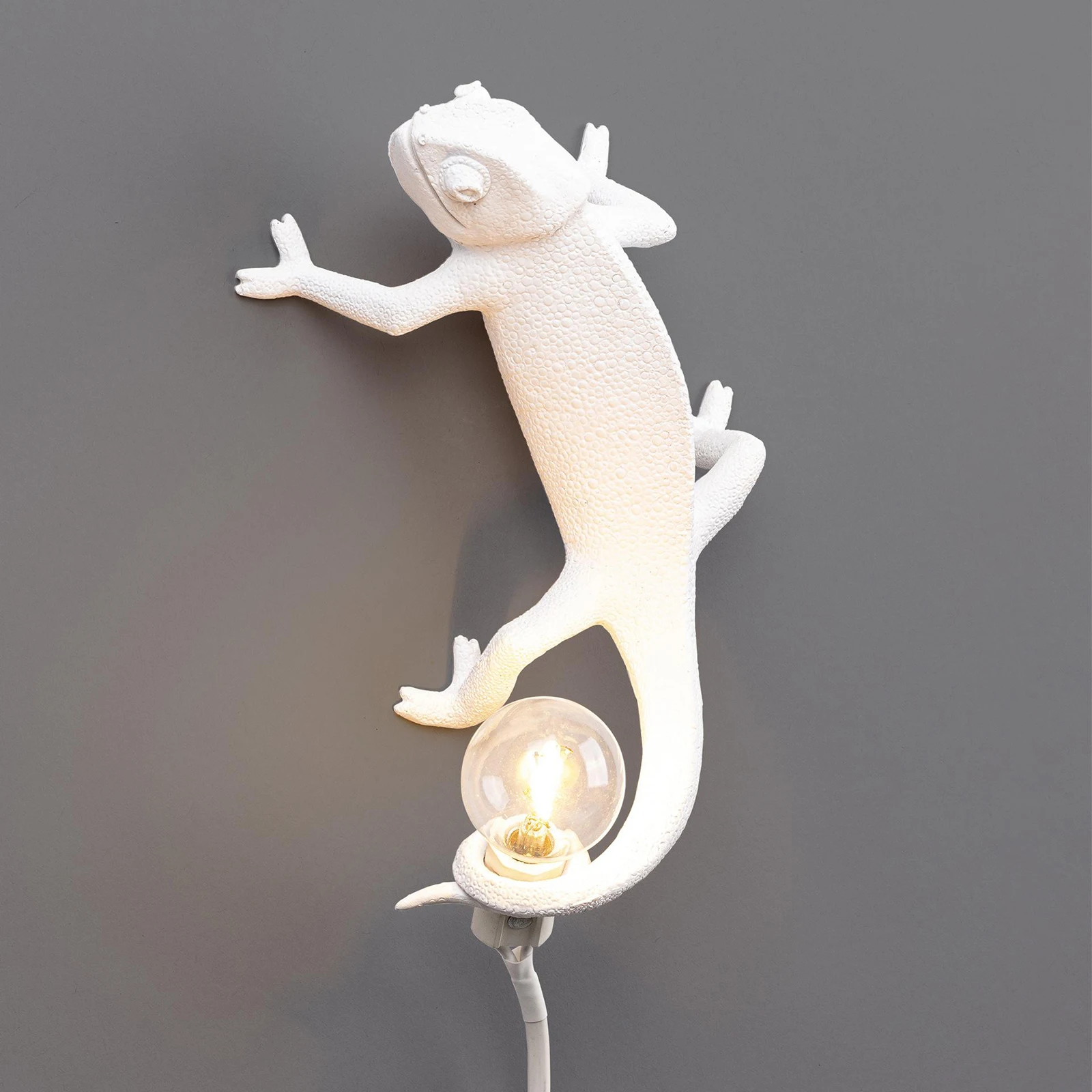 

E12 Table Lamp Resin Creative Wall Sconce Animal Bedside Desk Light Lamp